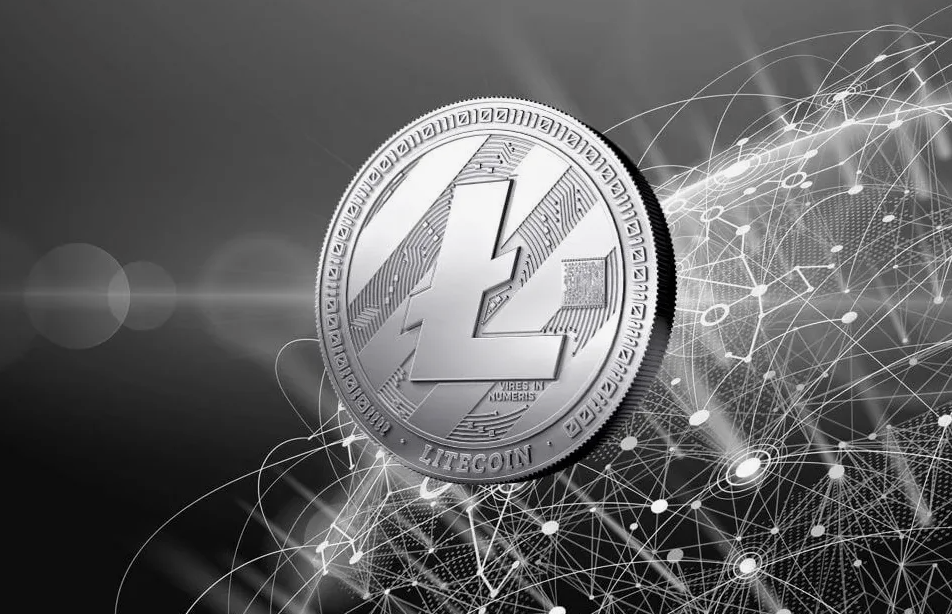 кошельки для лайткоина