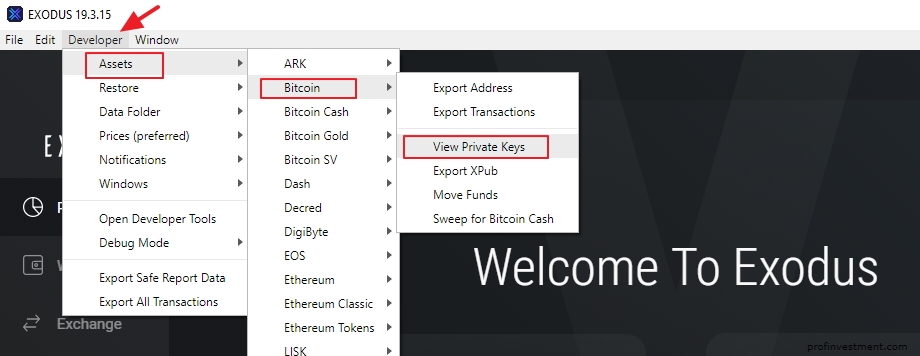 export private keys from Exodus