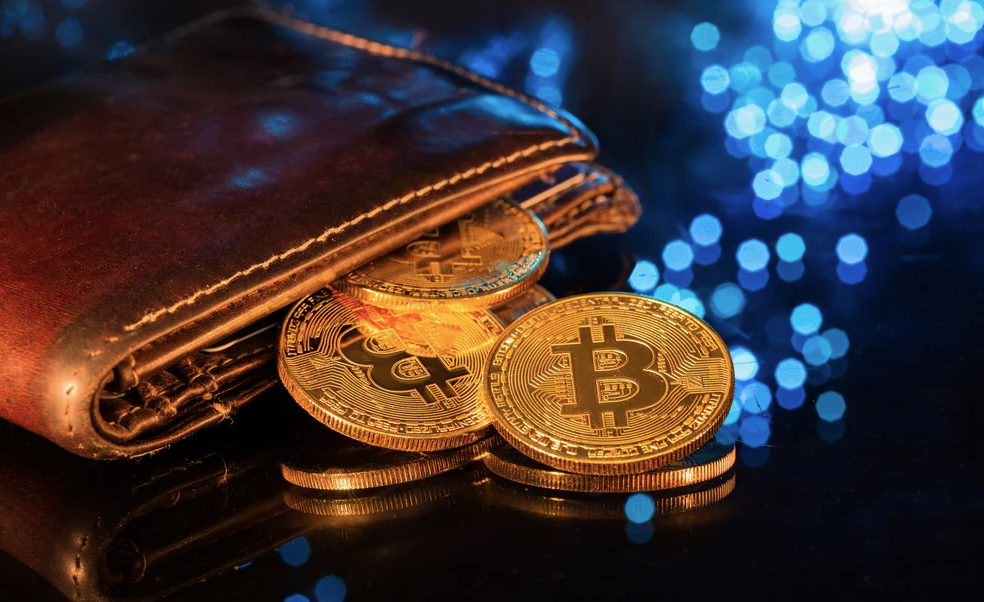 обзор лучших биткоин кошельков, инструкция по созданию и использованию