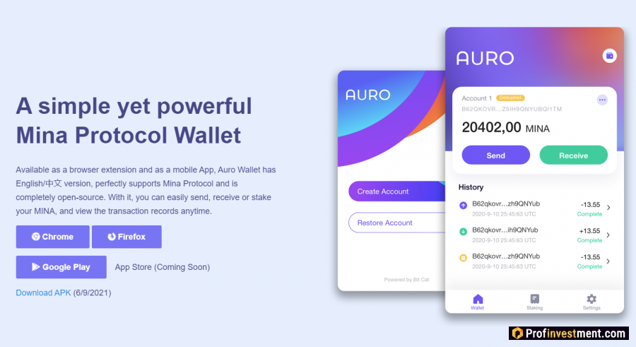 Кошелек Auro Wallet для MINA