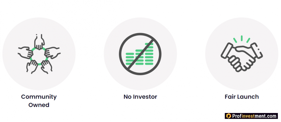 Особенности Alpaca Finance