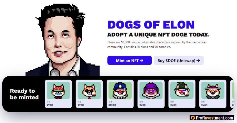 Dogs Of Elon (DOE)