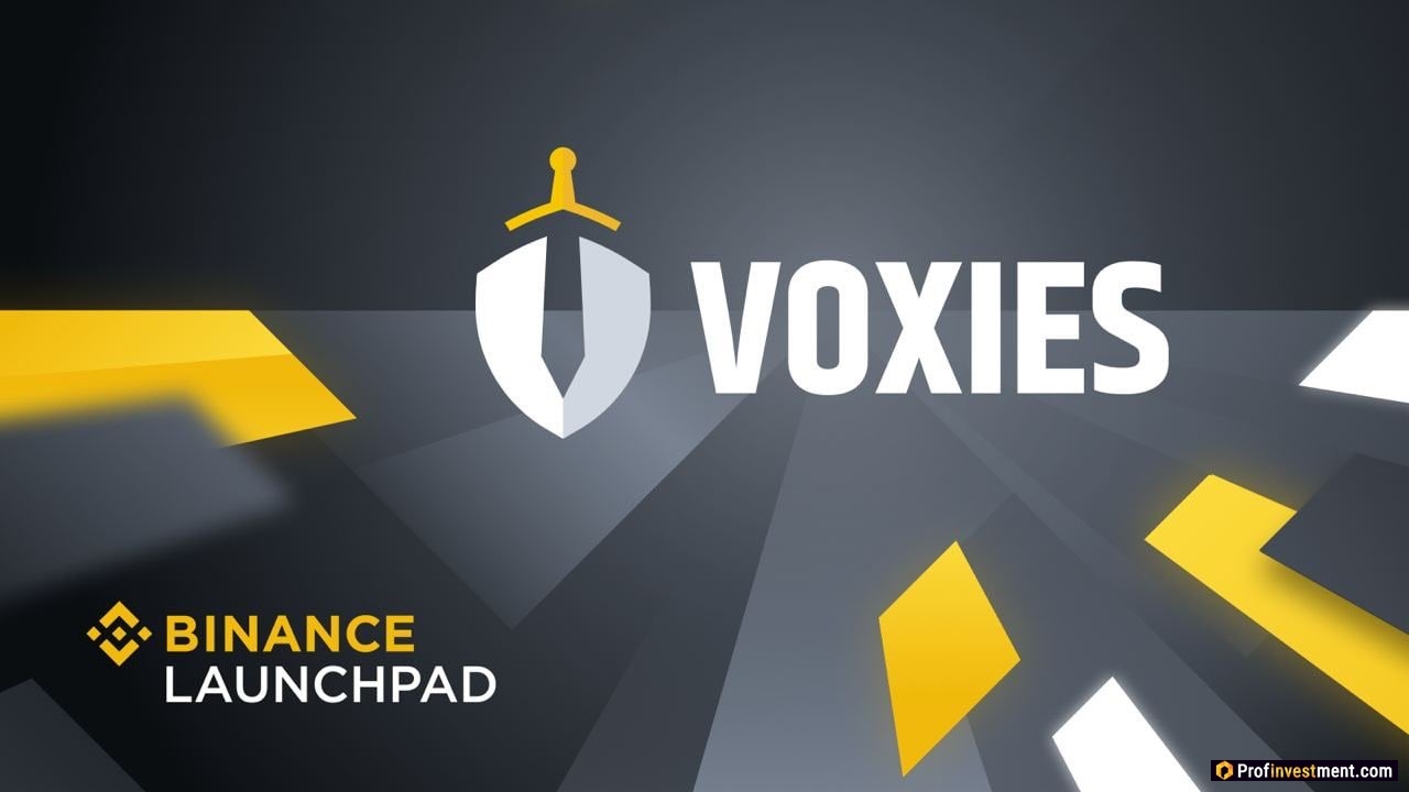 Voxies (VOXEL): обзор блокчейн-игры и токена + 25-ый токенсейл на Binance  Launchpad