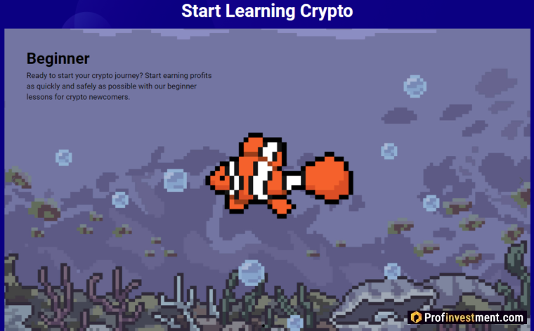 Huobi Академия