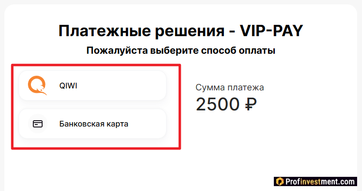 Выбор способа оплаты при покупке TON