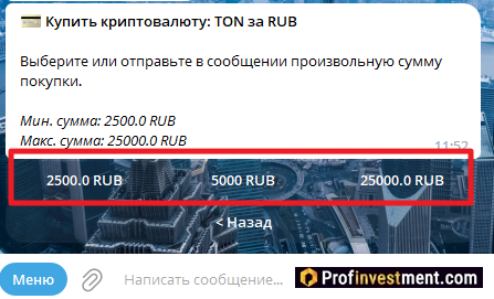 сумма покупки TON