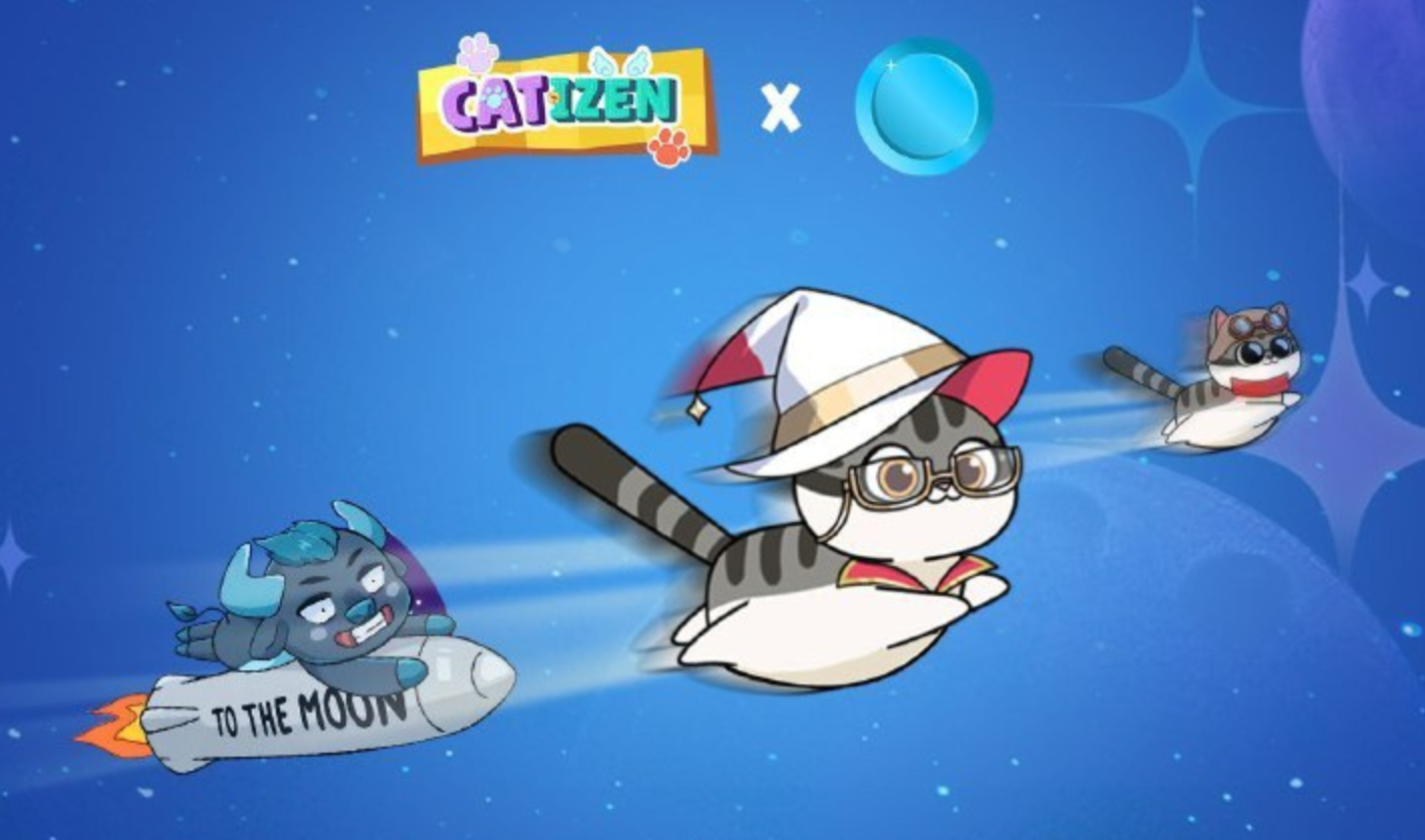 Catizen to the moon