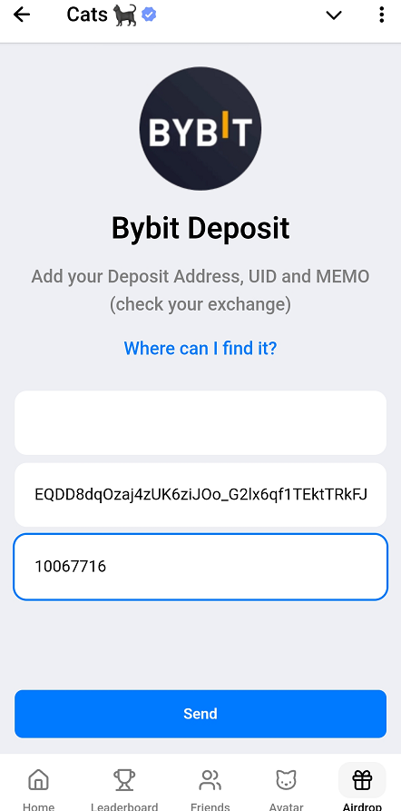 ввод данных для депозита CATS на Bybit