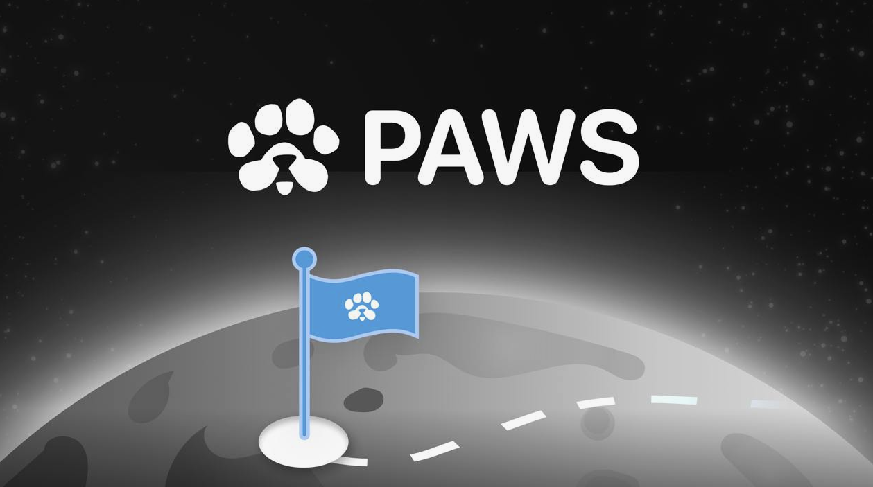 перспективы проекта PAWS