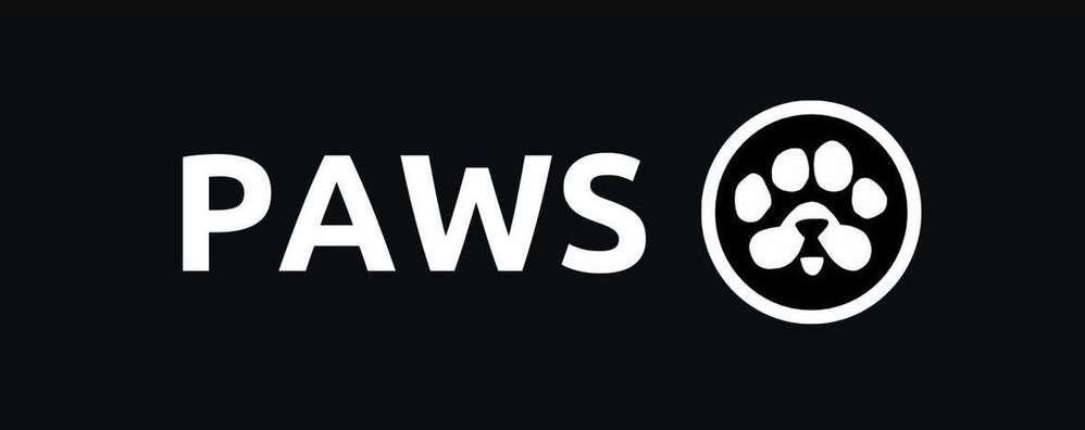 рассказываем о процессе вывода и продажи токенов PAWS 