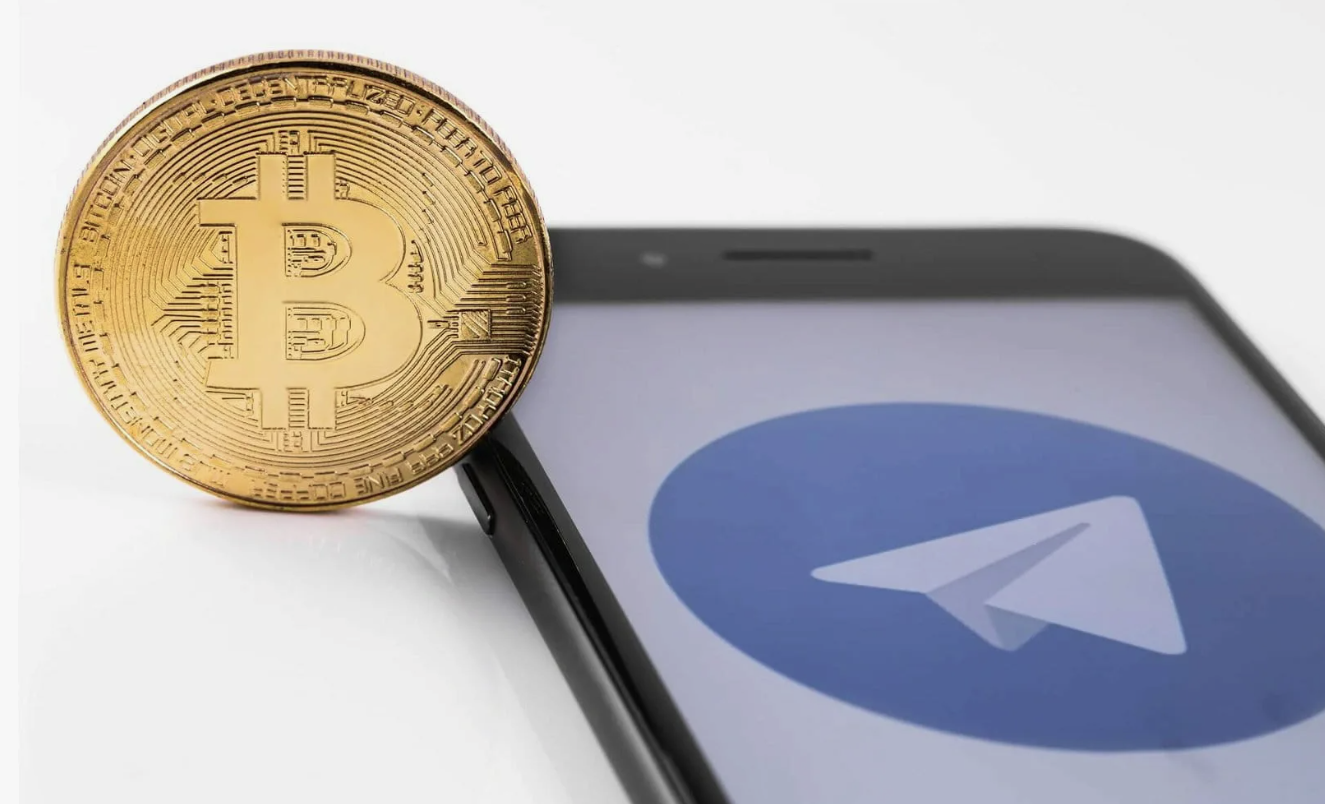 Через ботов в мессенджере Telegram