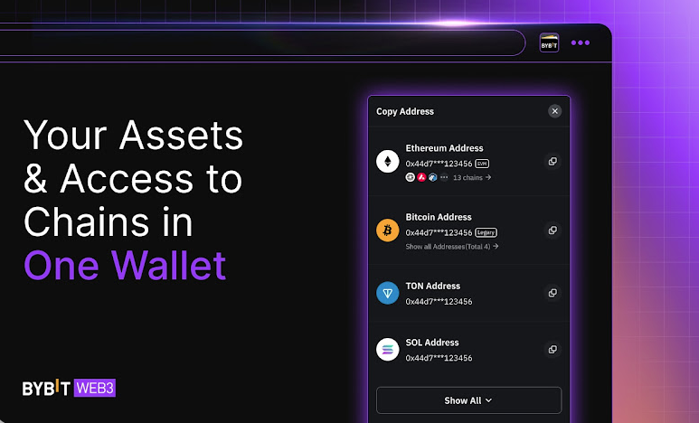 Bybit Wallet