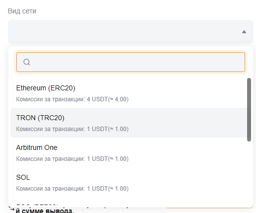 выбор сети при выводе стейблкоина