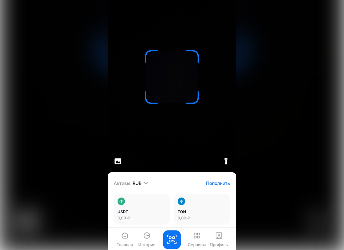 Antarctic Wallet - интерфейс оплаты по QR