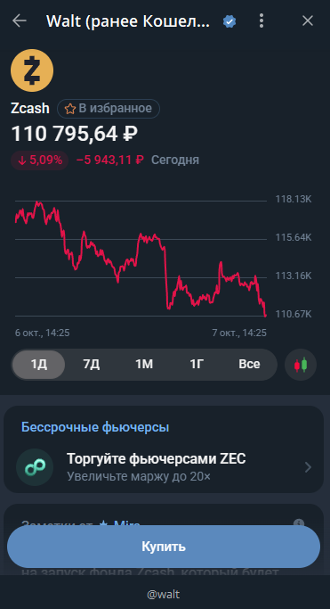 ZEC в кошельке Walt